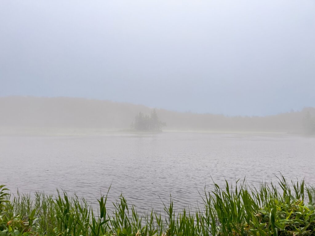 雨の日の知床五湖の画像